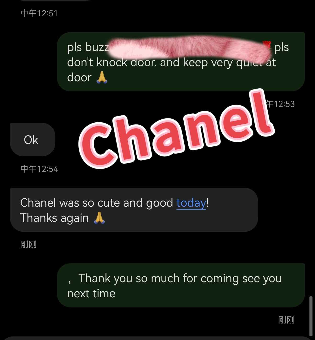 Chanel 🇰🇷